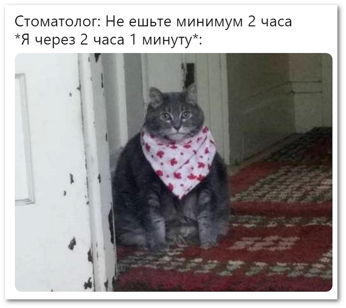 ������ ������ ����� ������� �������?