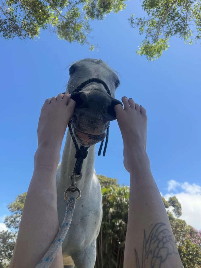 Добрый вечер