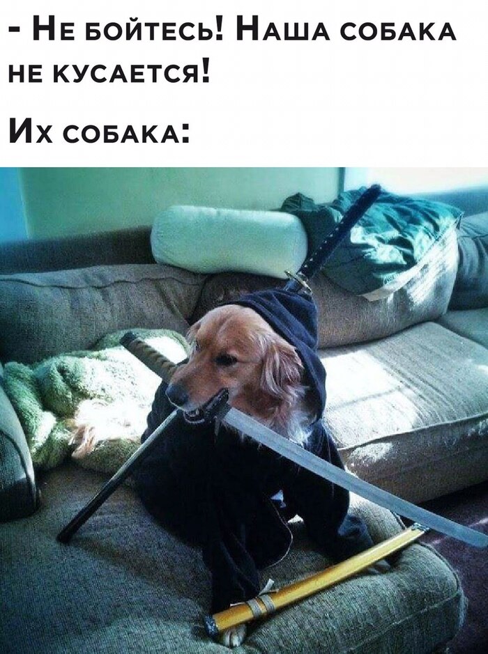 А теперь стало страшно