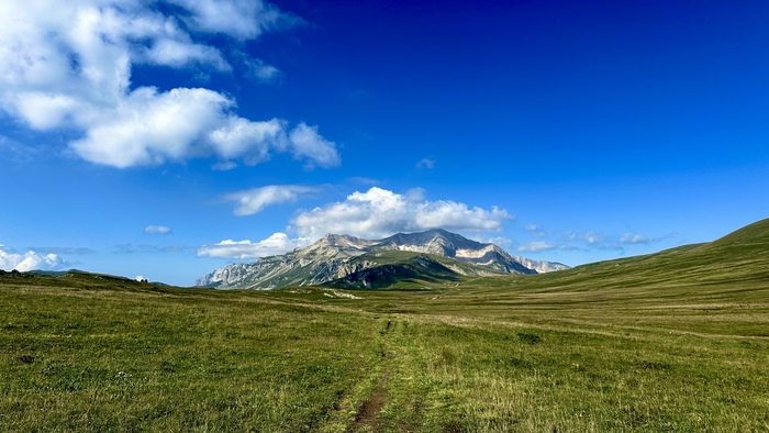 ��� �� ���� �����  �� ����� ����-����