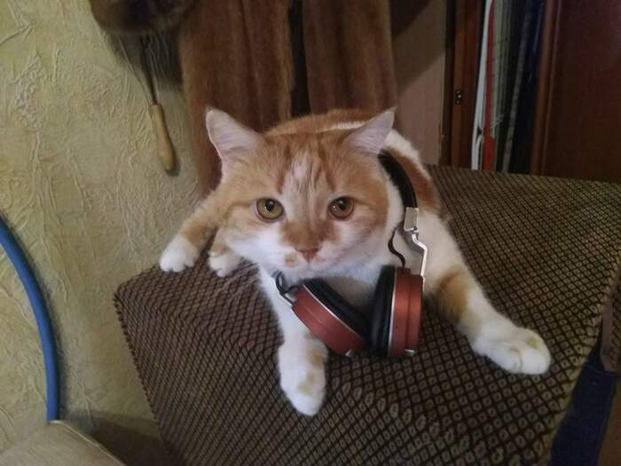 ��� ���� �������� � ������� 2019 ����. 