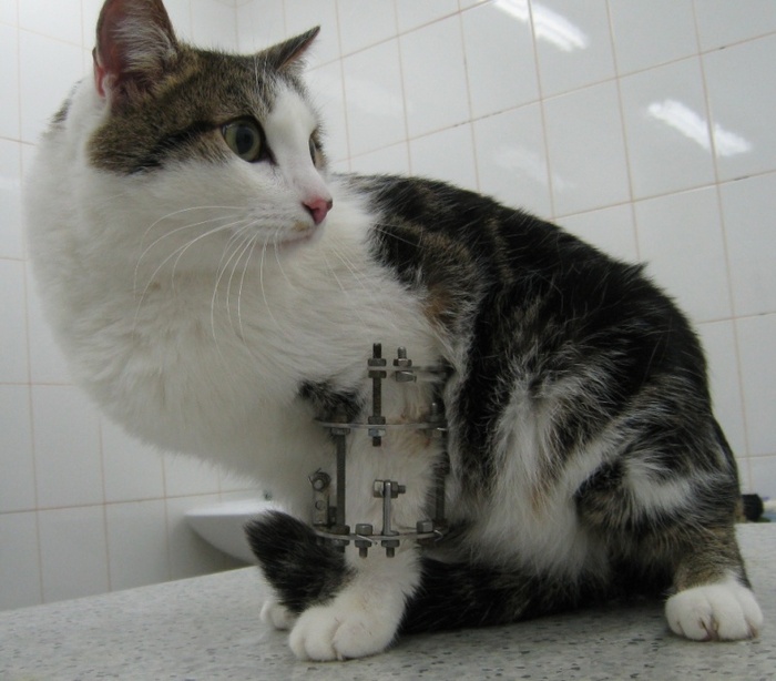 ������� ���� �����.