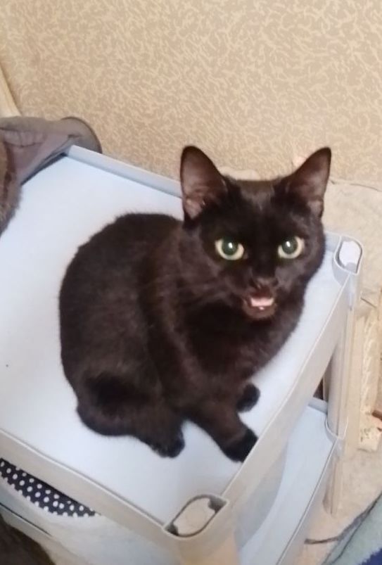 ���� ������� � ������ ����������, ��������� ����������, ������� �������� 1,5 ����. ����� ����� ������ ����� ����� ����� ������ � �������� �������, ����� ����� ���� �� ����� � ��������� �� �����, �������� ����� � ������, ������.