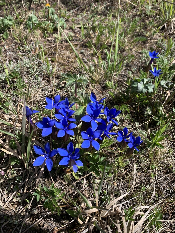 ��� ���� �������������� �������� ����������� - ��������� ��������