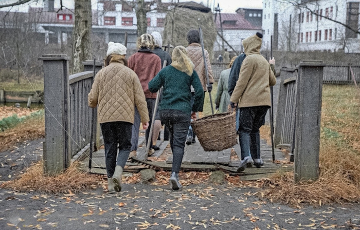 �����: ��������� ���������� �������