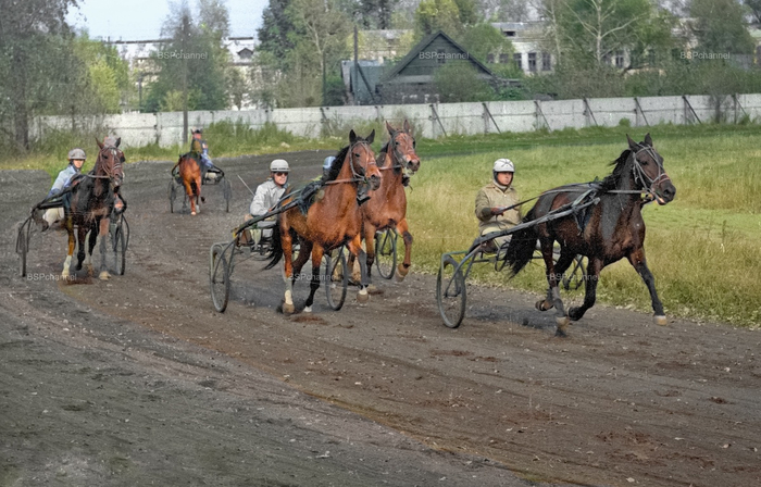 �����: ��������� �������