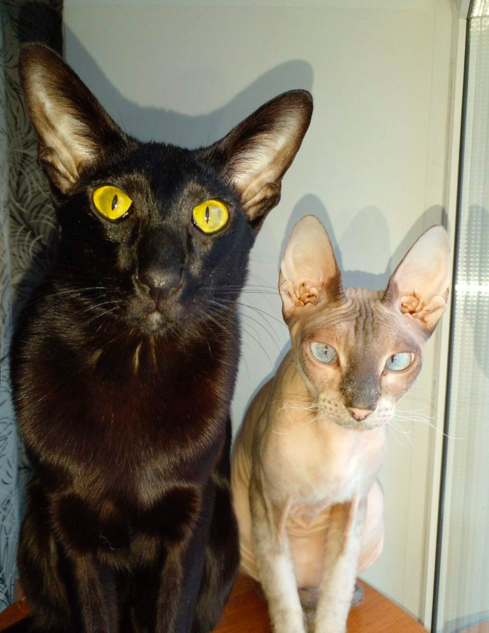 ����� � ��������