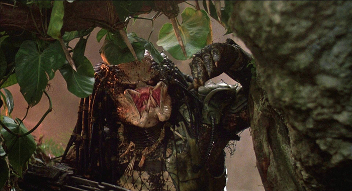 ������ , �������� �� �������?