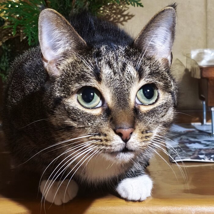 ��� ��� �������� �� ������� ���...