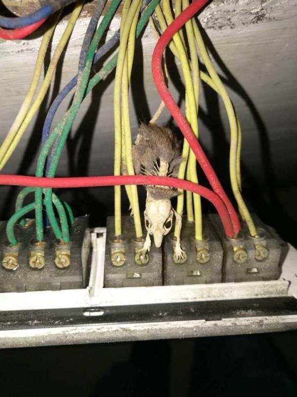 ������ ��� ��� ���������� ����� �� ����������� �������?