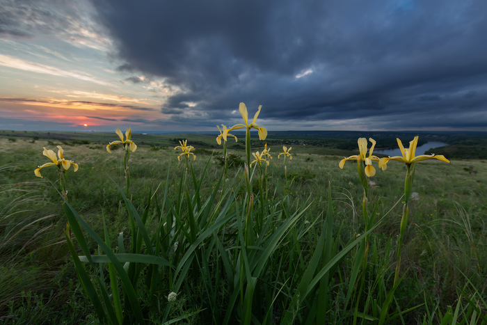 ������� �����