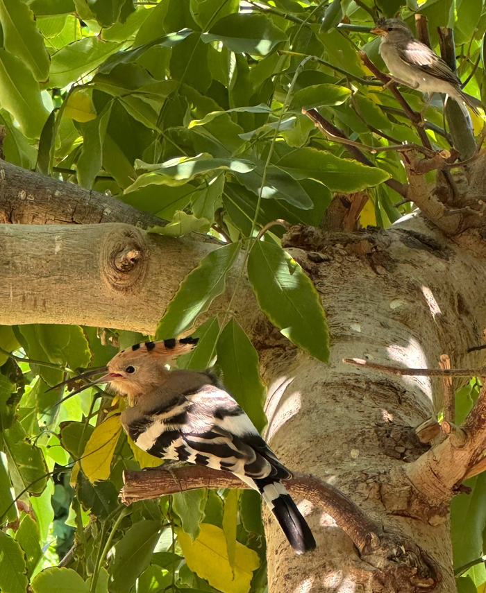 ���� &amp; ������� // ����-��-���� // ������