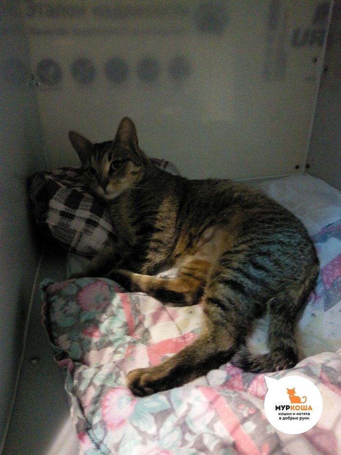 ������ � ����������� ����� �� ��������� � �������