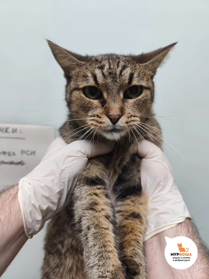 ������ ��������� ��������� ��������� ���� ����������� �������.