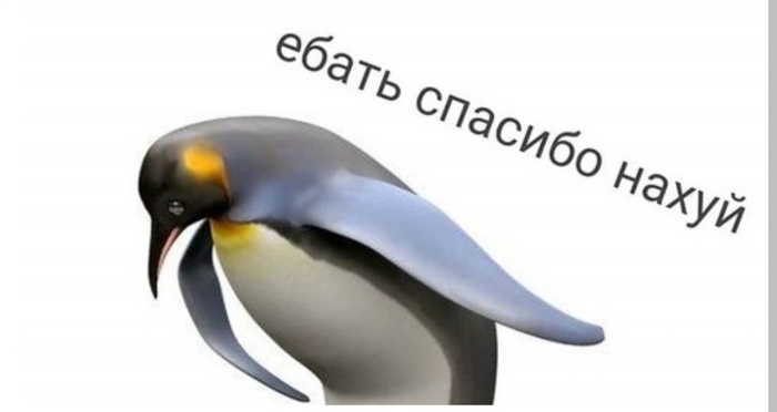 ������������ ������ ����������� ������ Telegram