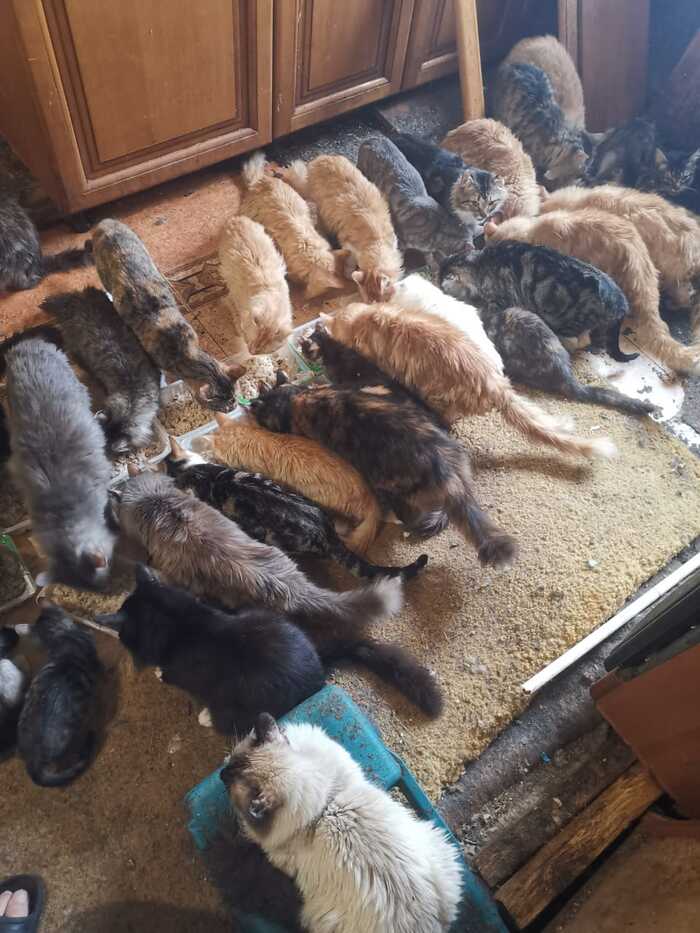 �������������� ��������� ������� � �������� 20 ����� � �����