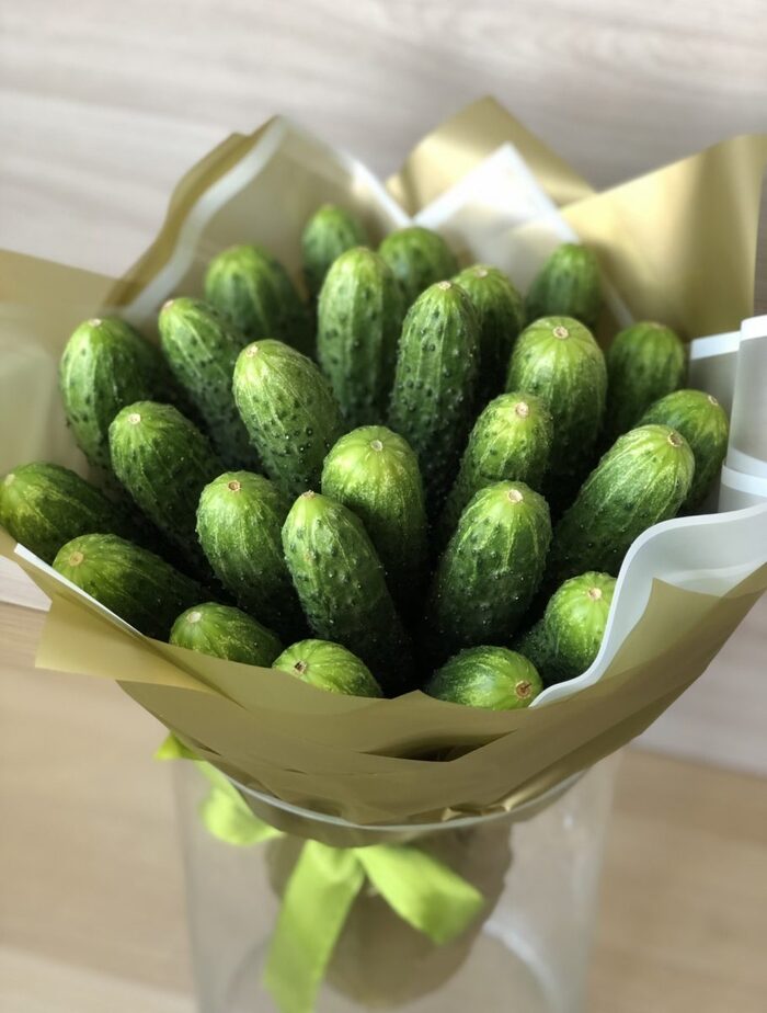 ������� ������ 2026 ����