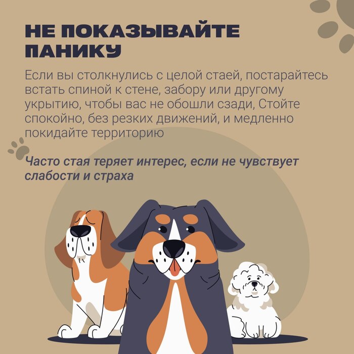 ������� ��������� � ���� � �����������? �������� ���������. ����� ���������������?