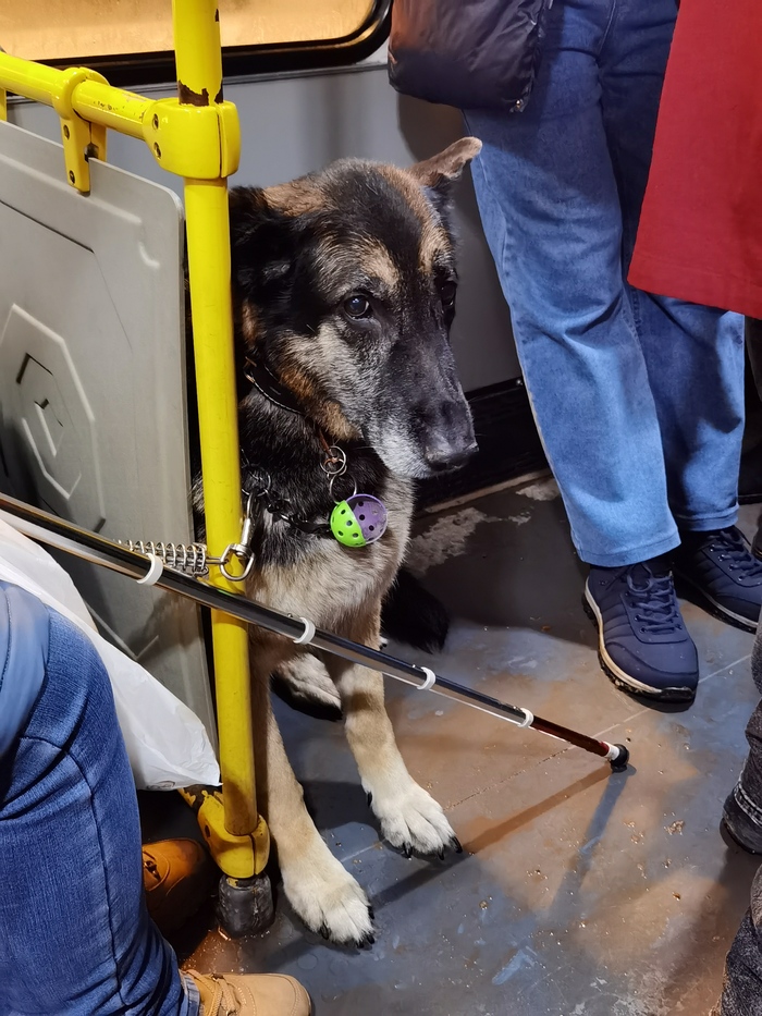 �������� ������ ��������