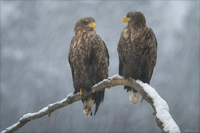 ����: ���� ����������� <a href="https://pikabu.ru/story/para_13680665?u=https%3A%2F%2Frtraveler.ru%2Fphoto%2F1481274%2F%3Feditorial_photos%3D1&t=%D0%BE%D1%82%D1%81%D1%8E%D0%B4%D0%B0&h=510981f31719b4dde9ef0189ae552ecc163275e9" title="https://rtraveler.ru/photo/1481274/?editorial_photos=1" target="_blank" rel="nofollow noopener">������</a>