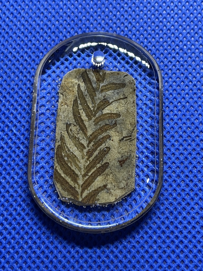 ������� ���� ������������� ����������� ���� ������������. ������������ � ������������ ���, ��������������� ������� (������) 298-358 ��� ��� �����.