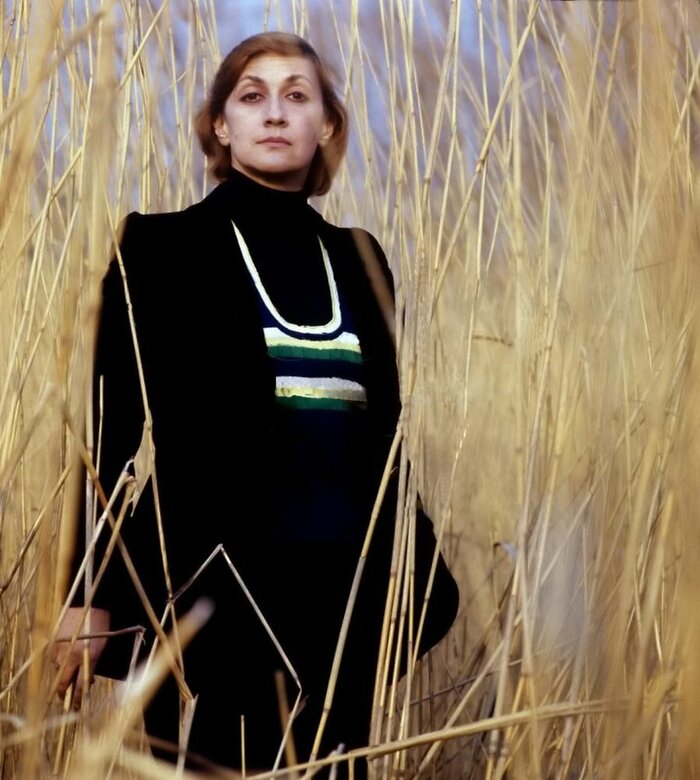 ������ (������ ������ ��������)