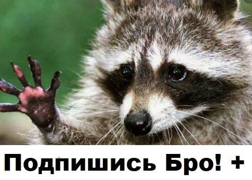 + в карму за подписку)