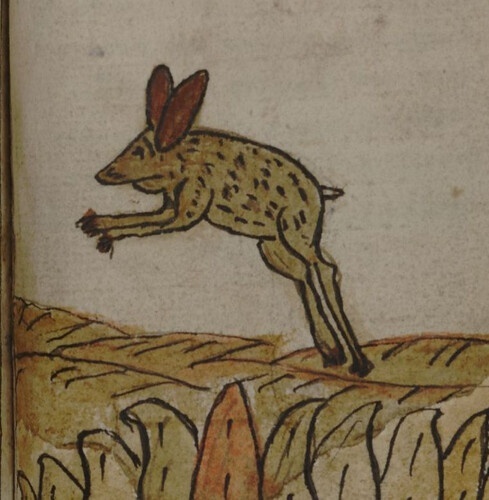 ���� - ������ �������������