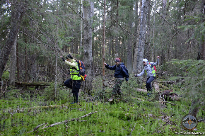 Учебные поисково-спасательные работы в лесу