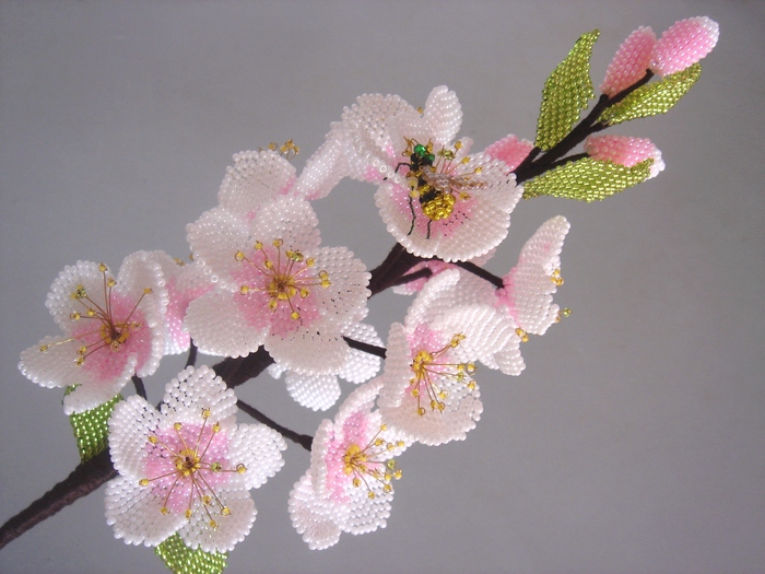 � ��� ������ ��������� ���������, ��� ����� ������� ��������!