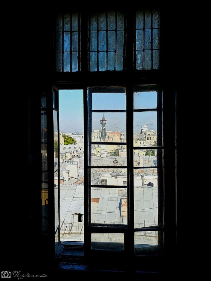 ��� �� �������� ��������� ���� ������� ����������. ����: �������� ������