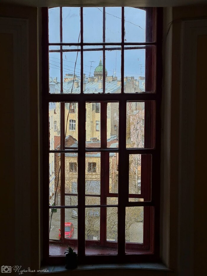 ��� �� ��������� ���� ������. ����: �������� ������