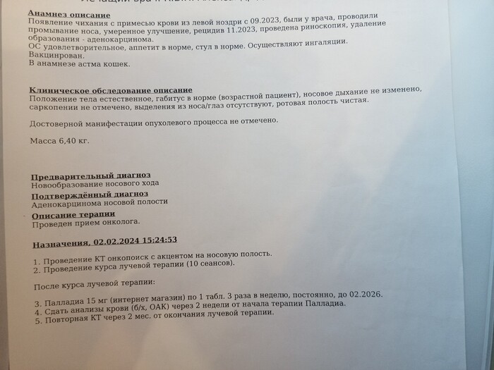 ��������� ������ ��������.