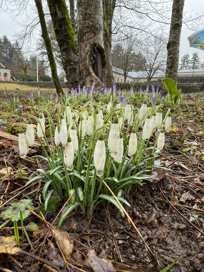 ��������� �������