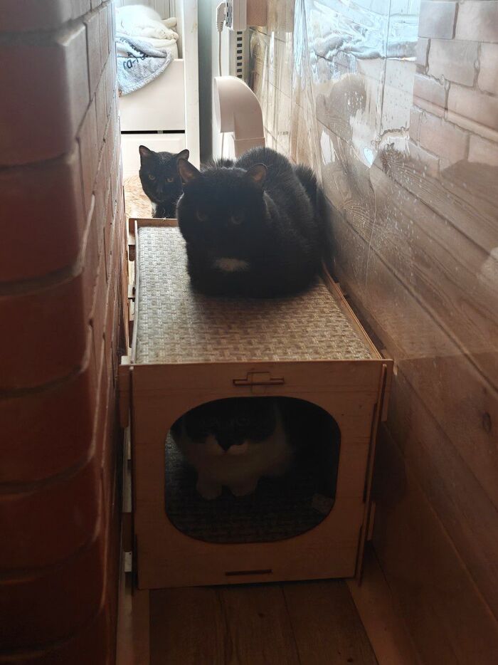 � ����-�� �� ������ ����� �������, � � ���� ������ ��������� ������ � ���