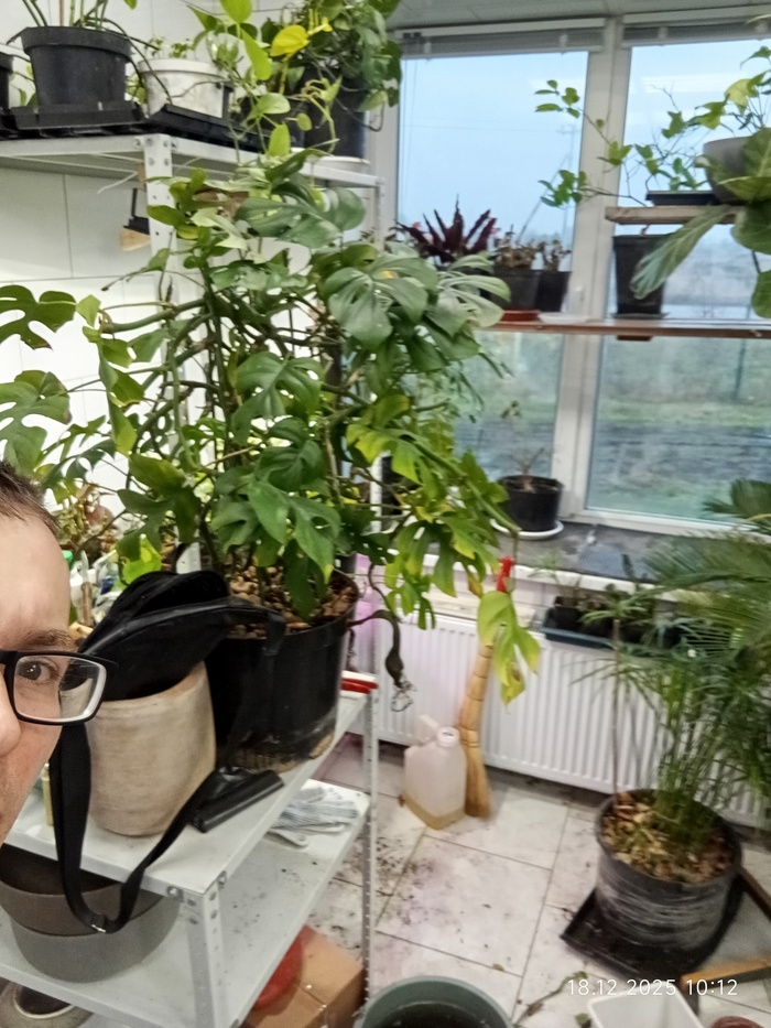 ���������� ��� � ����������