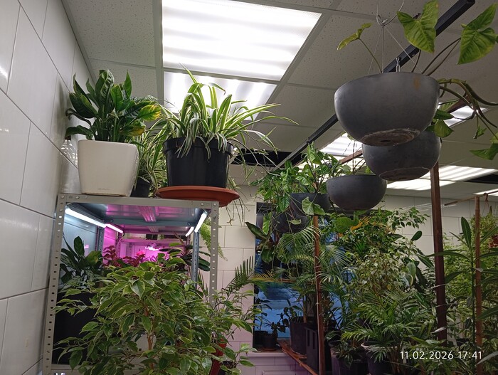 ����� ����������