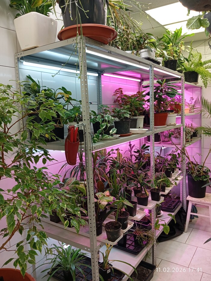 ������� �������