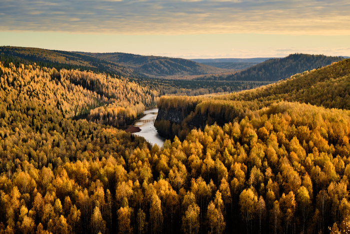 ����� ��� ����� �������, �������� ����