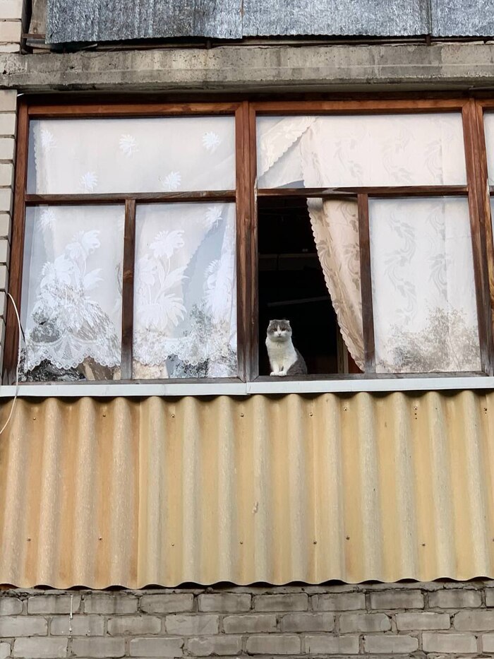 166 ���� ������� #143