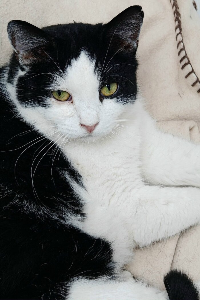 ������ ����������� ������ ���� ���