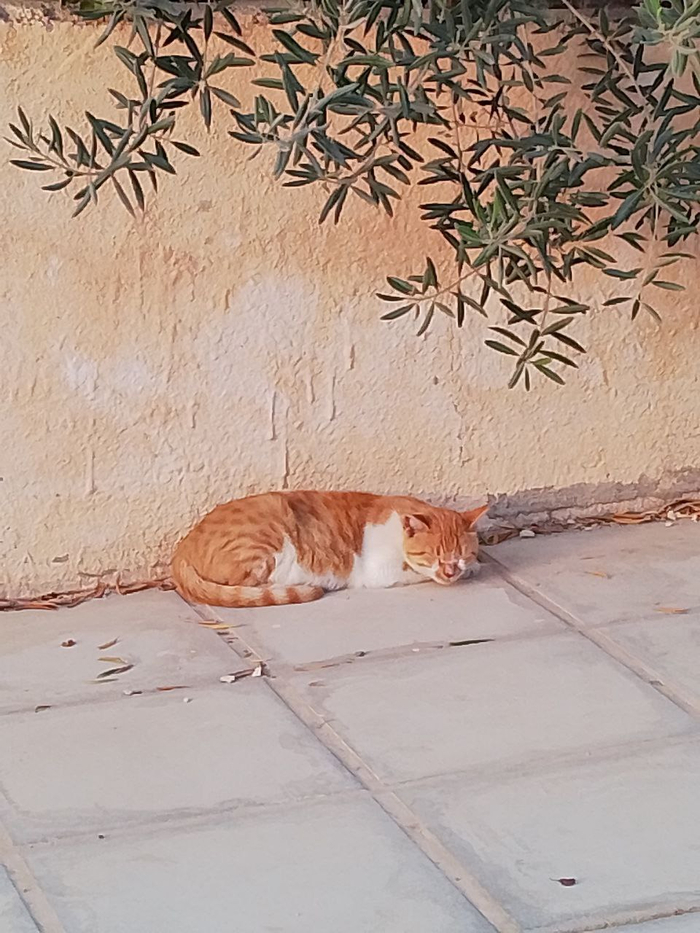 ������ ����� �����, �������� ������ �� ����