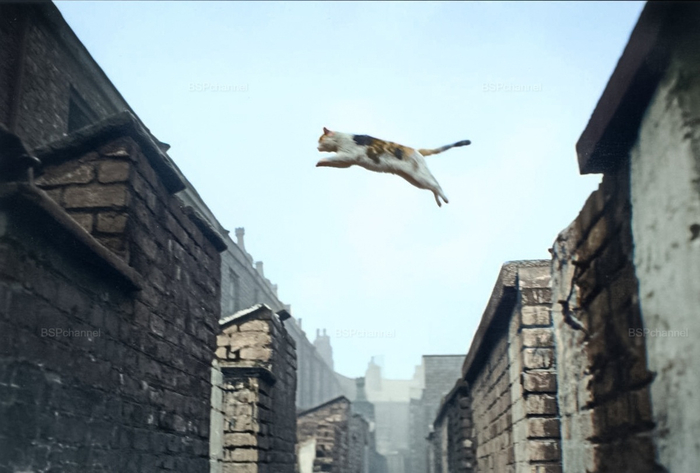 ��������: ��� �������