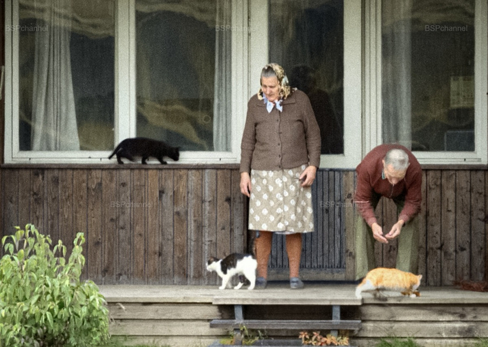 ��������: �������� ���������