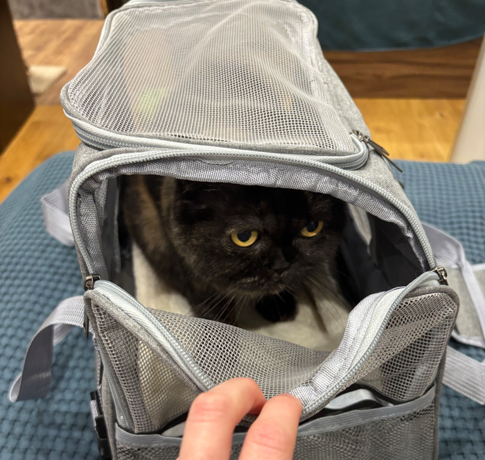 �� ����� ������� ��������� ���������. �� ��� ��� ������ ������. ������ ����� ������ ���� ������ ����� ���� ����!