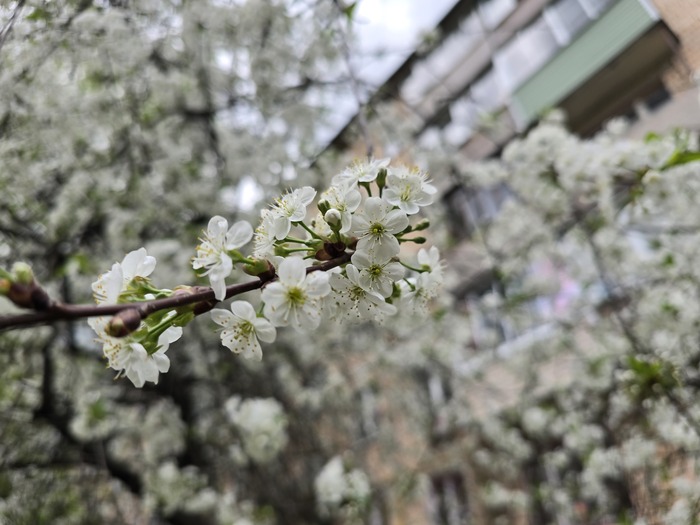 ����� �����!