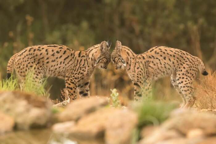 ����������