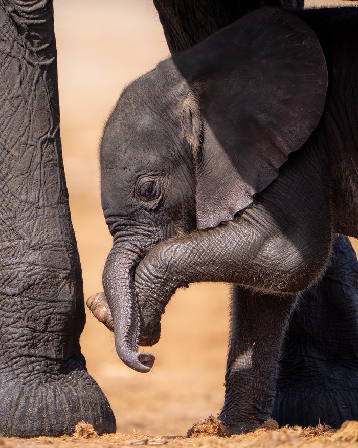 ����� �������