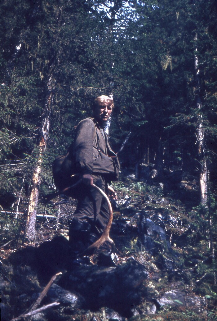 ���-�� ���� �������