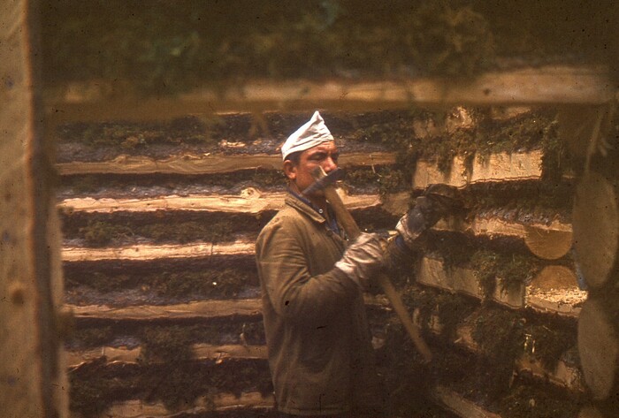 ��������� ���� ���������� ��������.